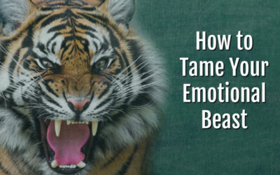 How to Control Emotions: Taming Your Inner Beast